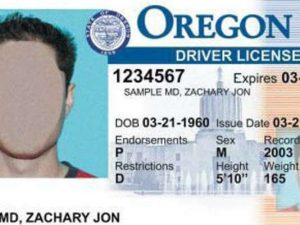 Sample Oregon driver license_1499449476339_9995974_ver1.0