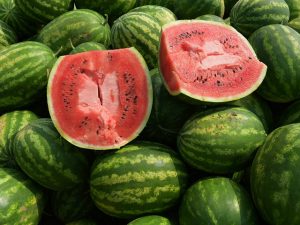 watermelons-watermelon-afp-photo-640x480
